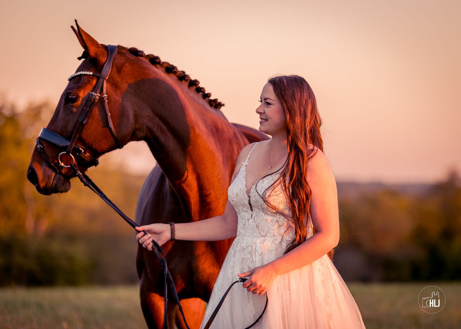 Majestic brown horse with rider in flowing white dress standing in golden sunset light.