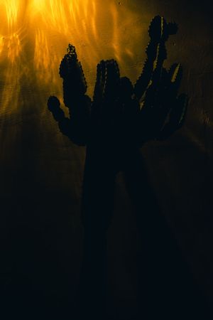 Silhouette of a saguaro cactus against a dramatic orange sunset sky with light rays streaming through dark clouds.