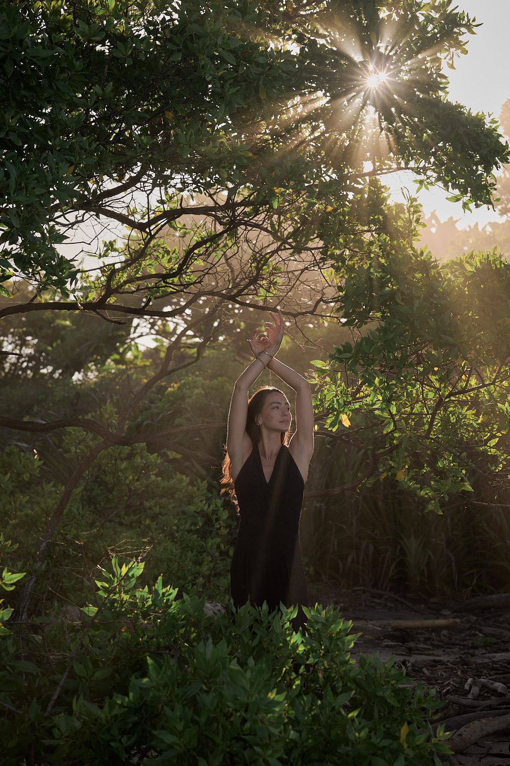 A silhouetted figure in a dark dress reaches up towards sunlit tree branches in a dreamy outdoor setting.