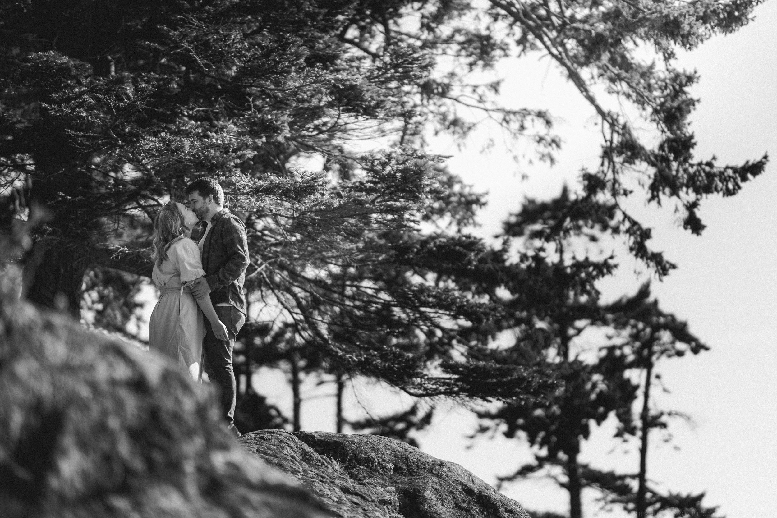 A panoramic sequence of silhouetted figures walking along a scenic outdoor trail through evergreen trees at dusk.