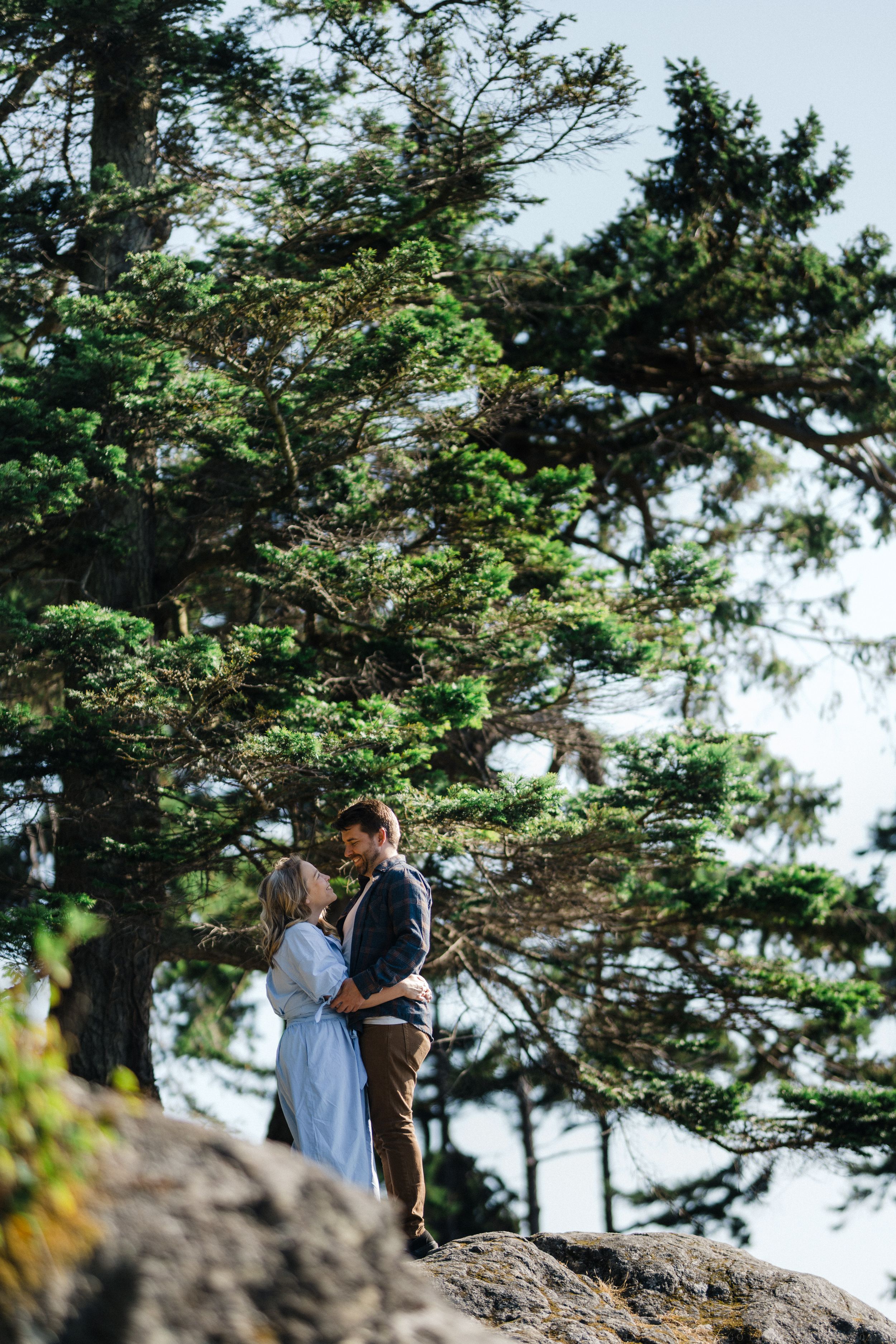 A romantic couple embraces on a cliff edge surrounded by towering evergreen trees overlooking the ocean.