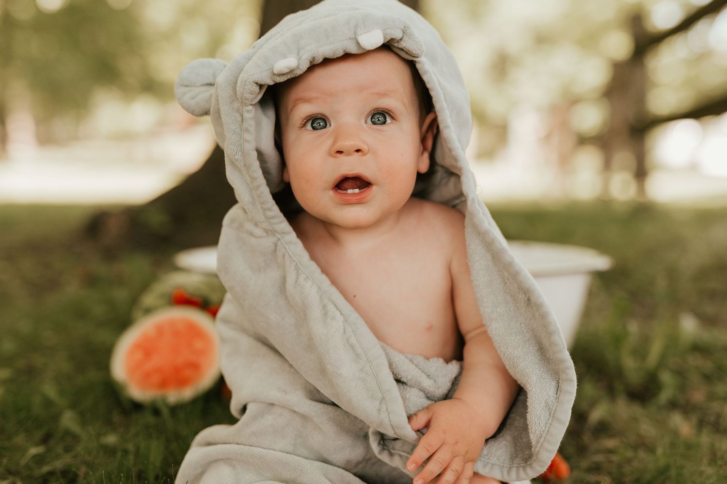 Adorable baby wrapped in a gray hooded animal towel sitting on grass outdoors with watermelon slices nearby.