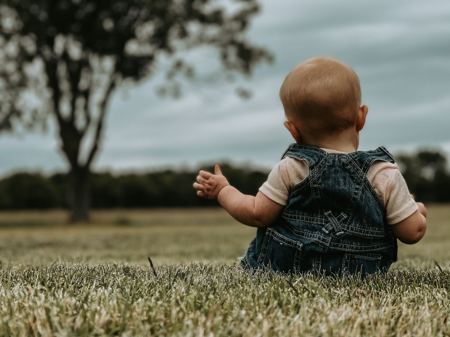 A small child in denim overalls sits in a grassy meadow looking towards the horizon on a cloudy day.