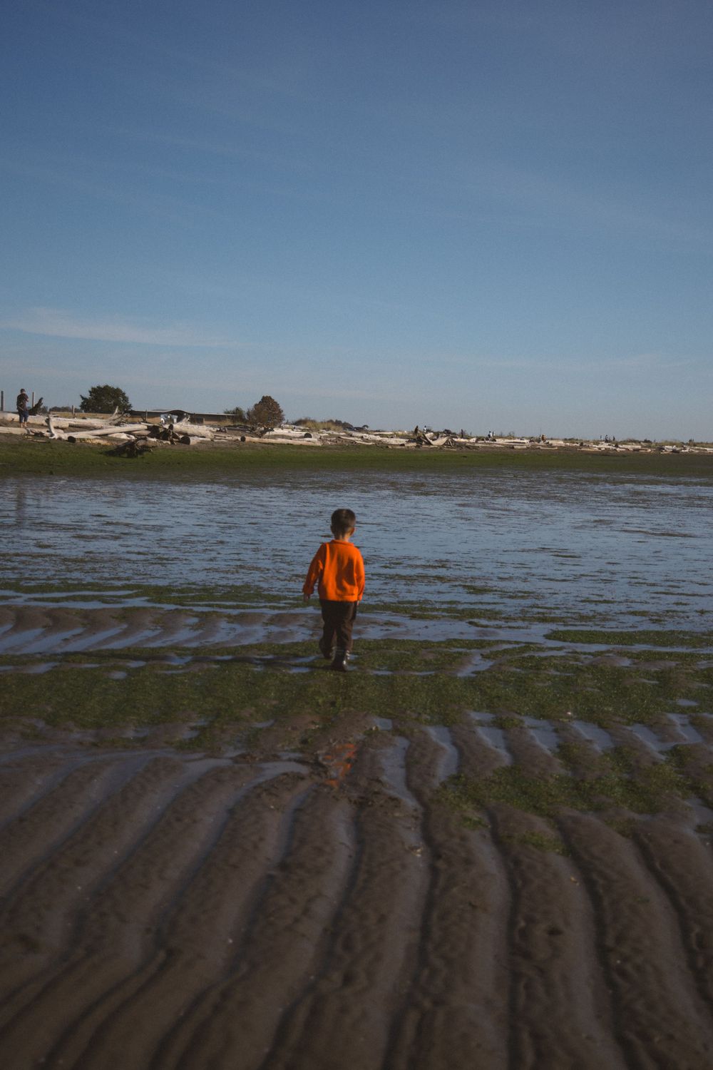 Toddler in orange sweater running towards the water on Iona Beach during a family photoshoot in Vancouver, BC.