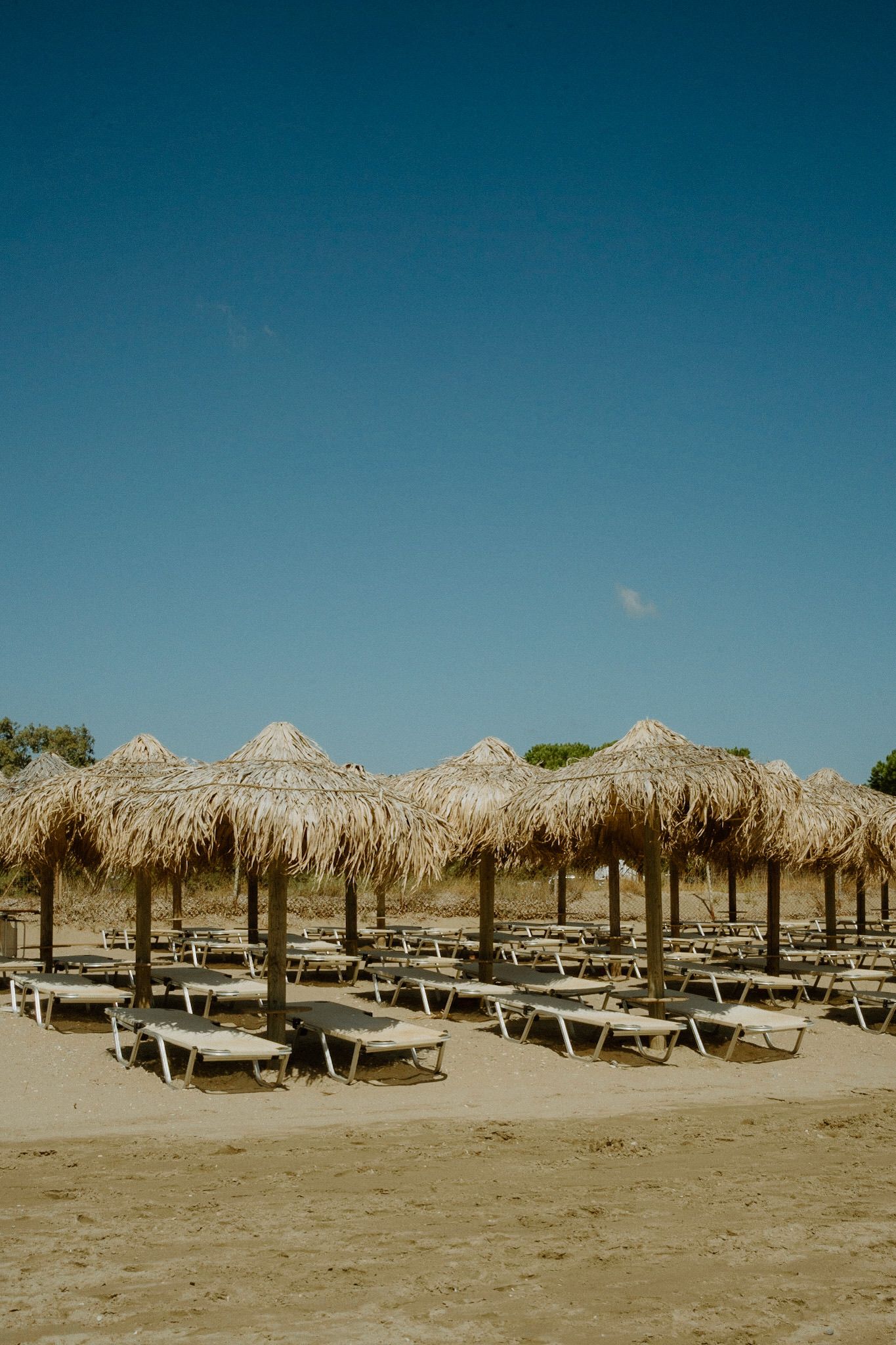 Rows of thatched palm umbrellas and lounge chairs line a sandy beach under a bright blue sky.