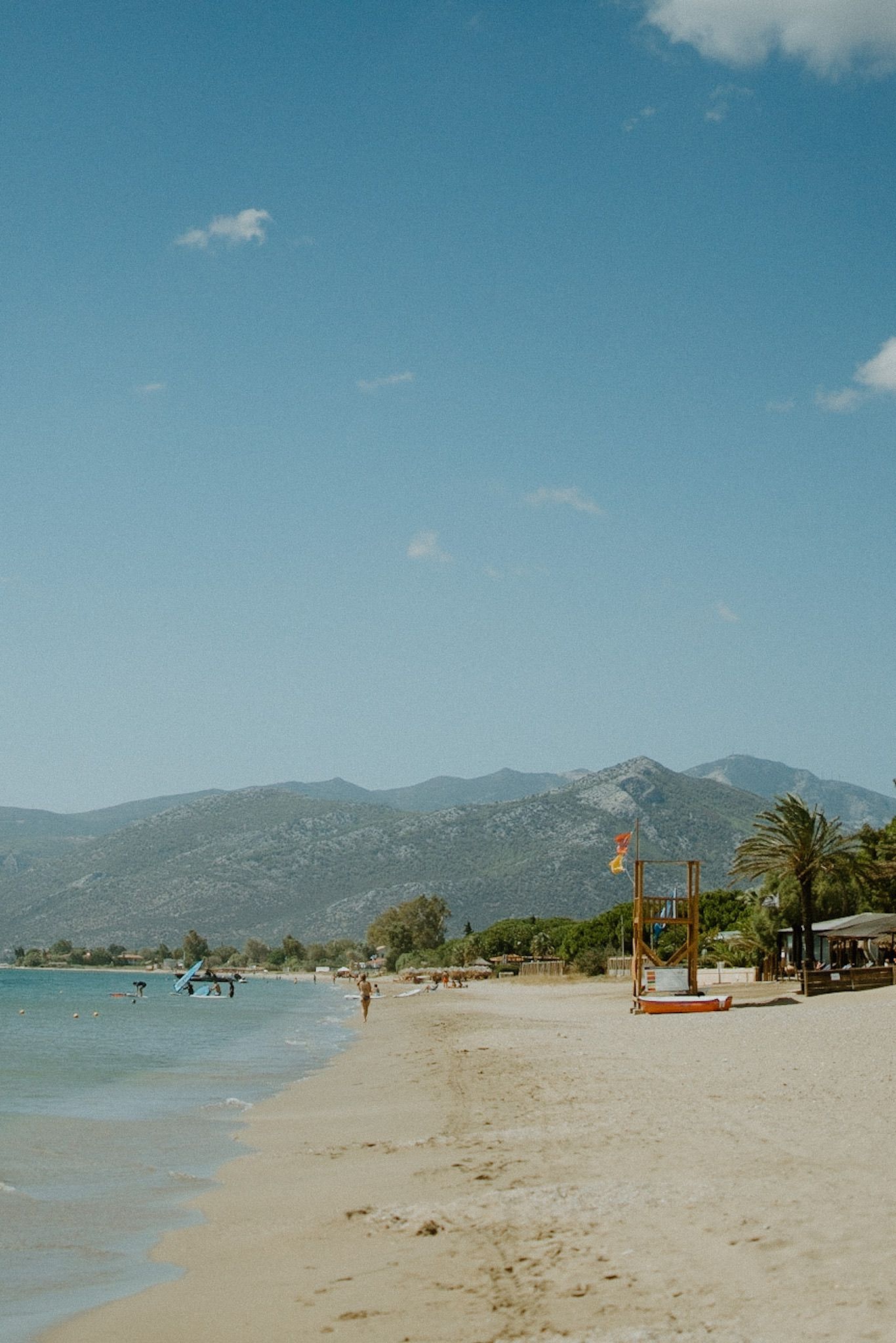 Serene Mediterranean beach with palm trees and mountains in the background under a bright blue sky.