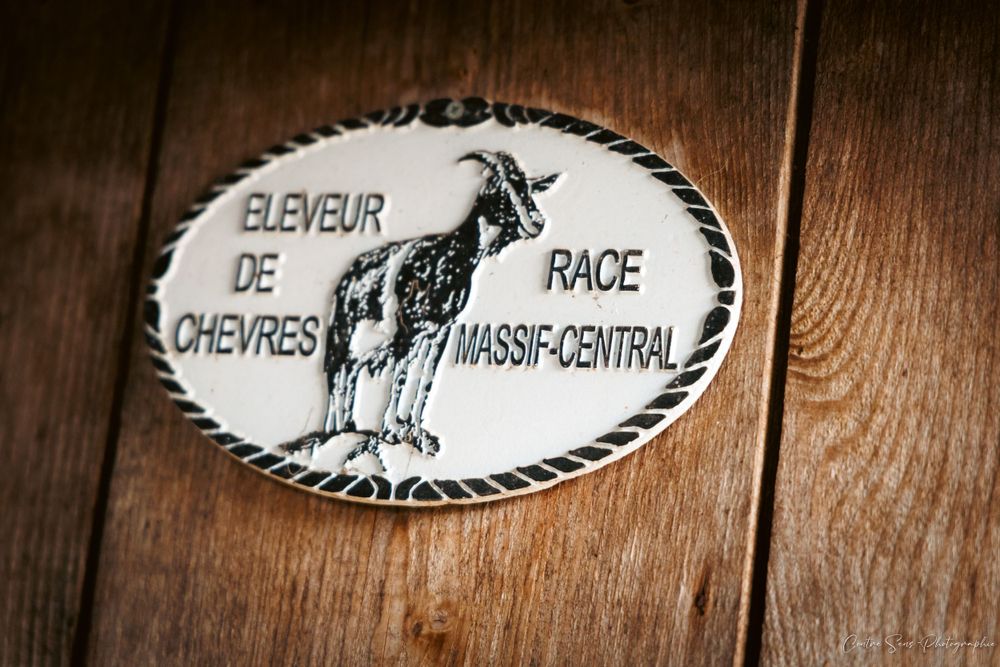 plaque éleveur de chèvres race massif central