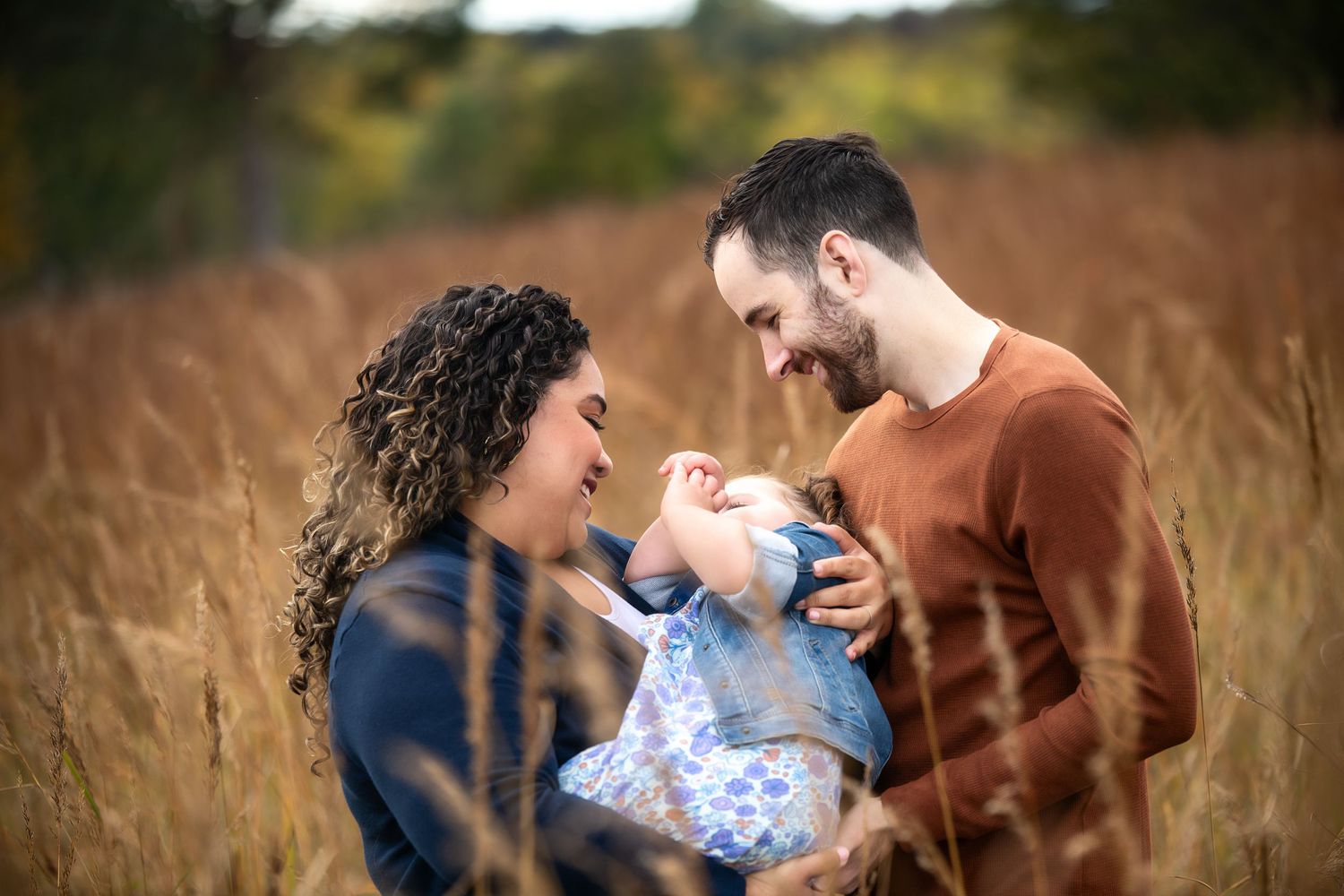 Family moment captured in golden field with tall grass at sunset.