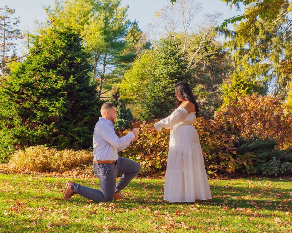 A couple shares a romantic proposal moment in an autumn garden surrounded by colorful foliage and evergreen trees.
