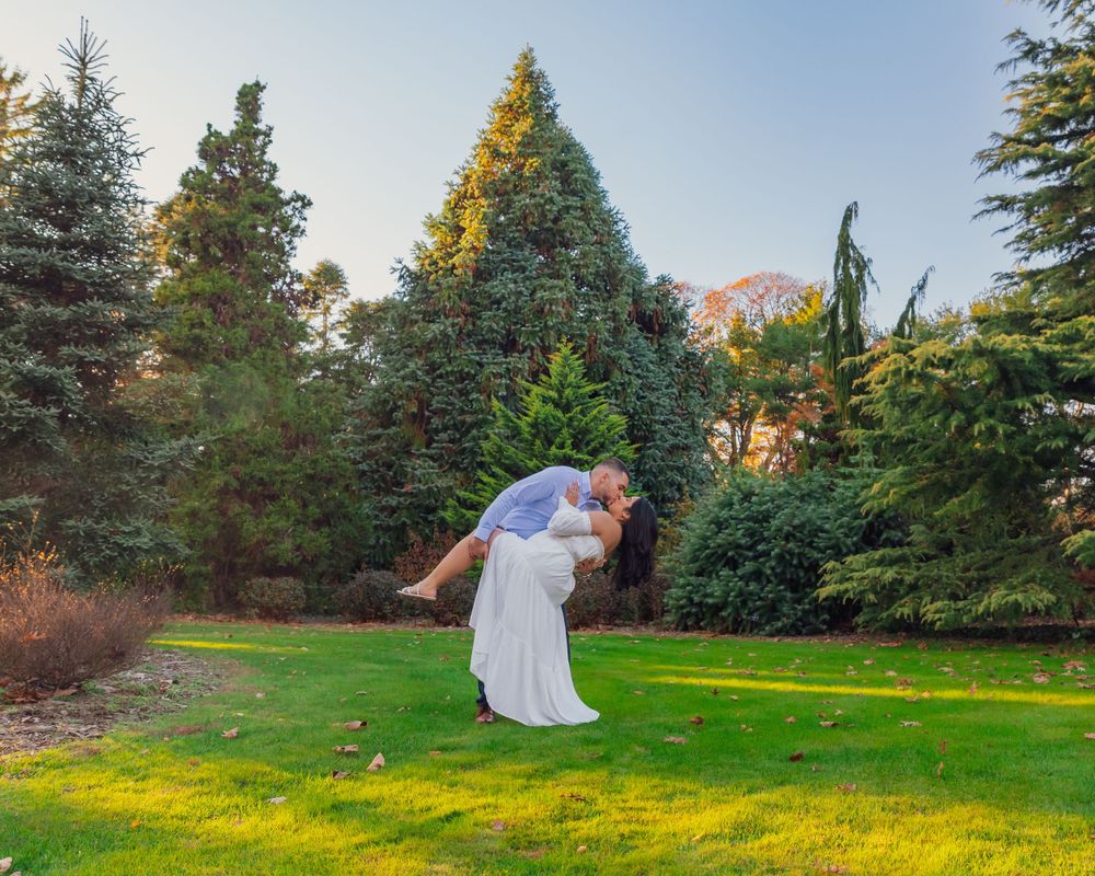 A romantic scene in a forest clearing with evergreen trees and golden sunset light in the background.