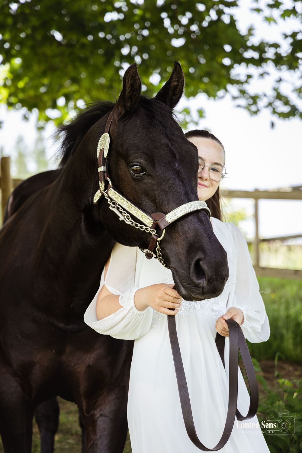 Seance photo cheval et humain