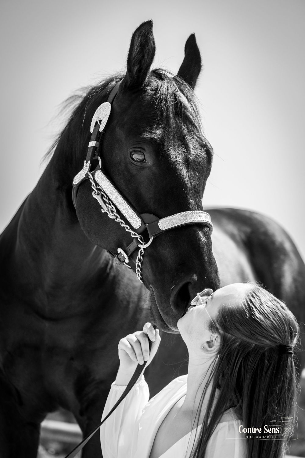 Seance photo cheval et humain noir te blanc