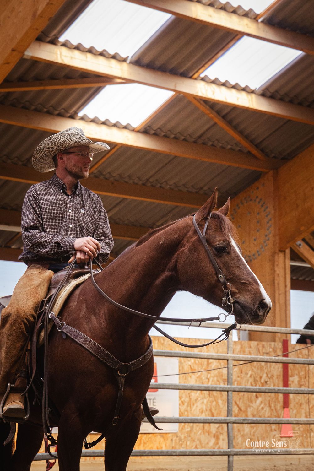 concours western cheval