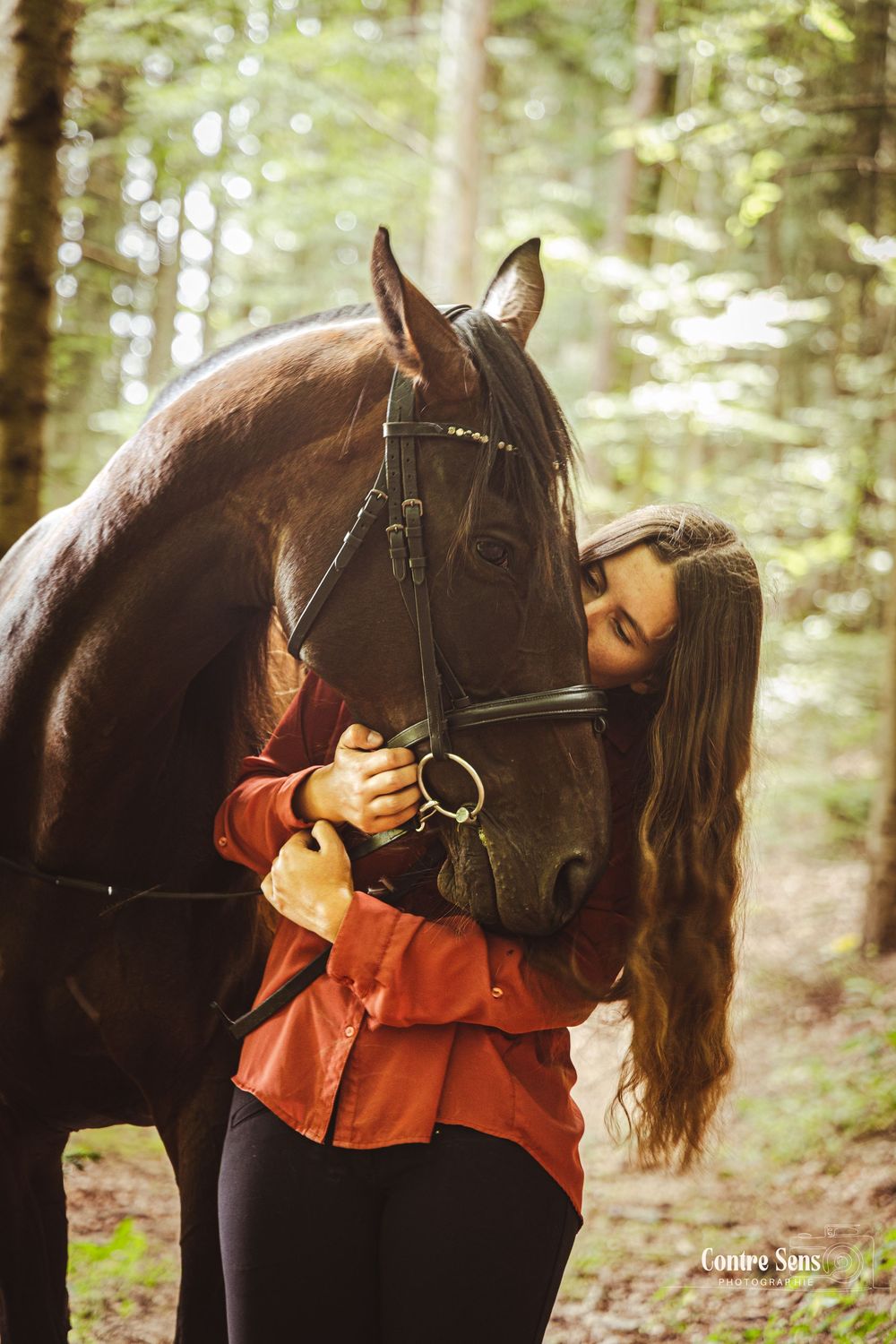 Séance photo particulier cheval