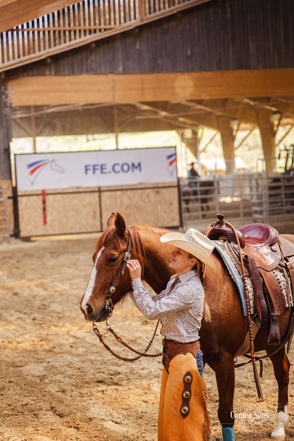western chevaux