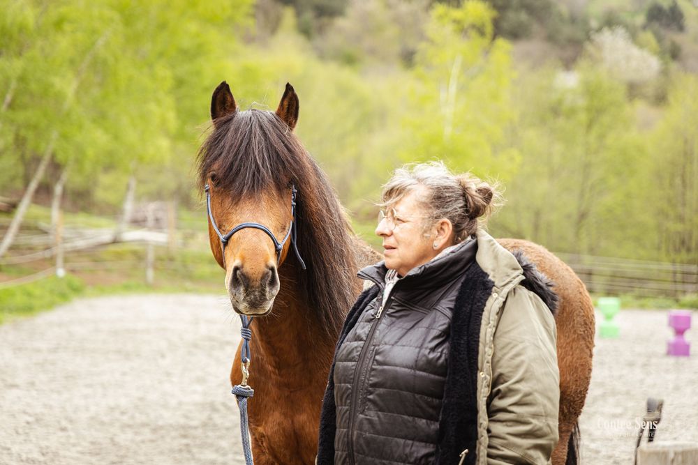 stage cheval
