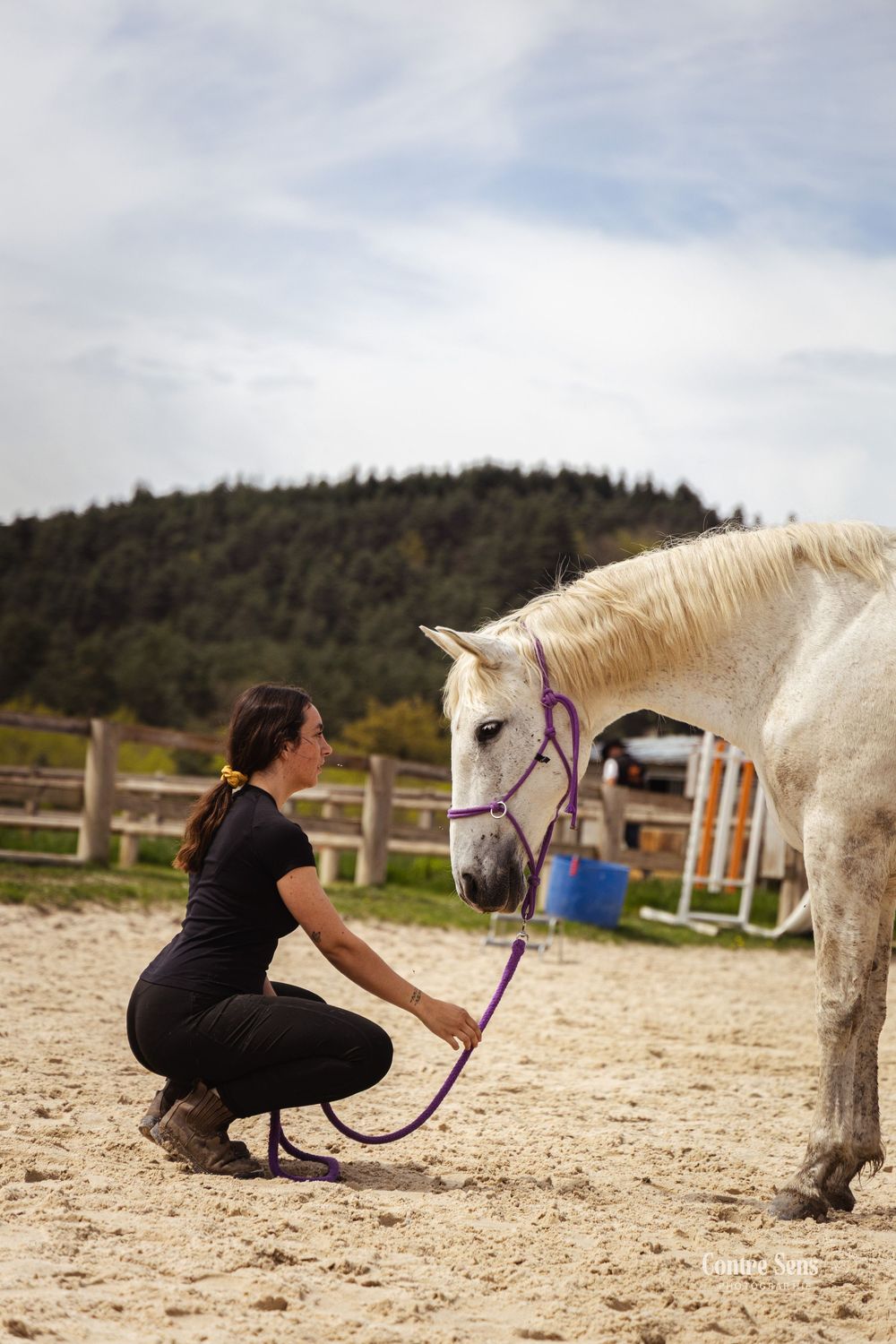 Stage ethologie cheval