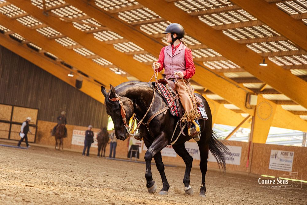 concours western, cheval noir