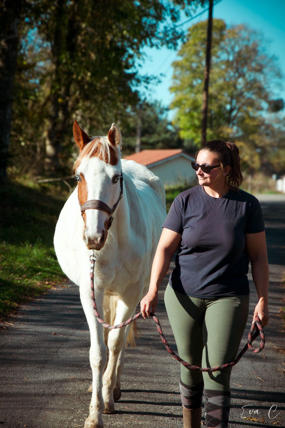 photo cheval
