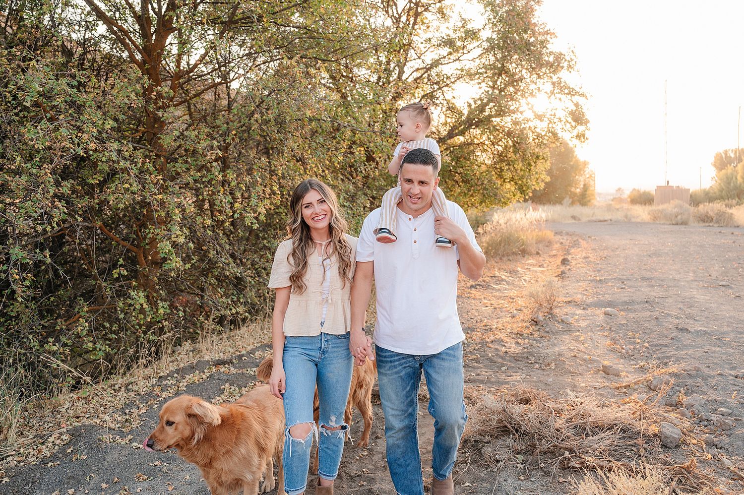 Family walks together with their golden retriever on a sunlit nature path.