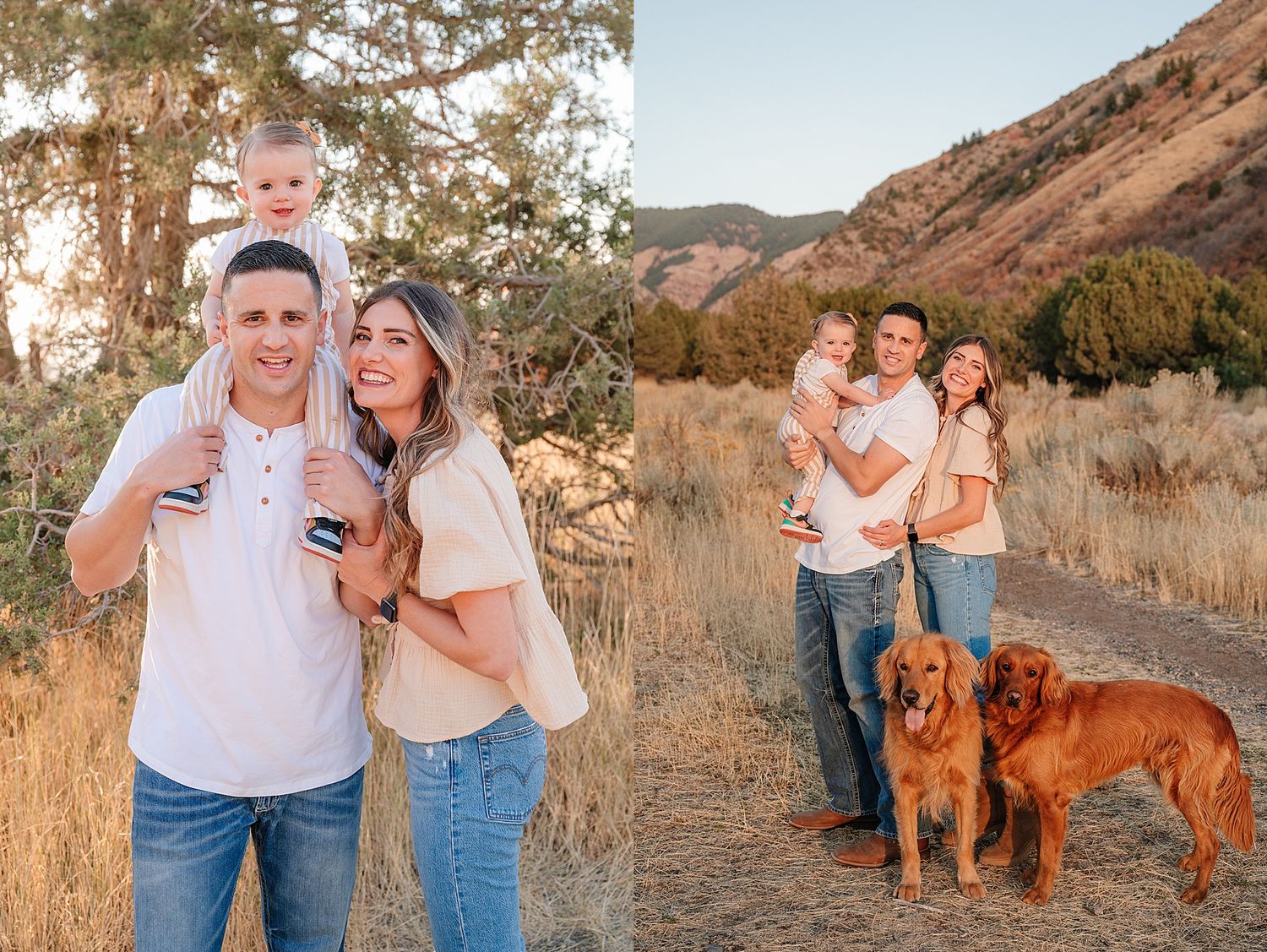 A couple and their two golden retrievers pose together in a scenic mountain landscape at sunset.