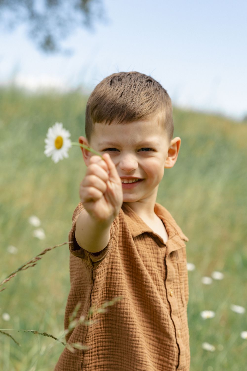 Smiling boy in brown shirt holding a white daisy flower in a green meadow on a sunny day.