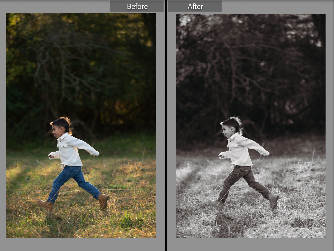 Black and white presets