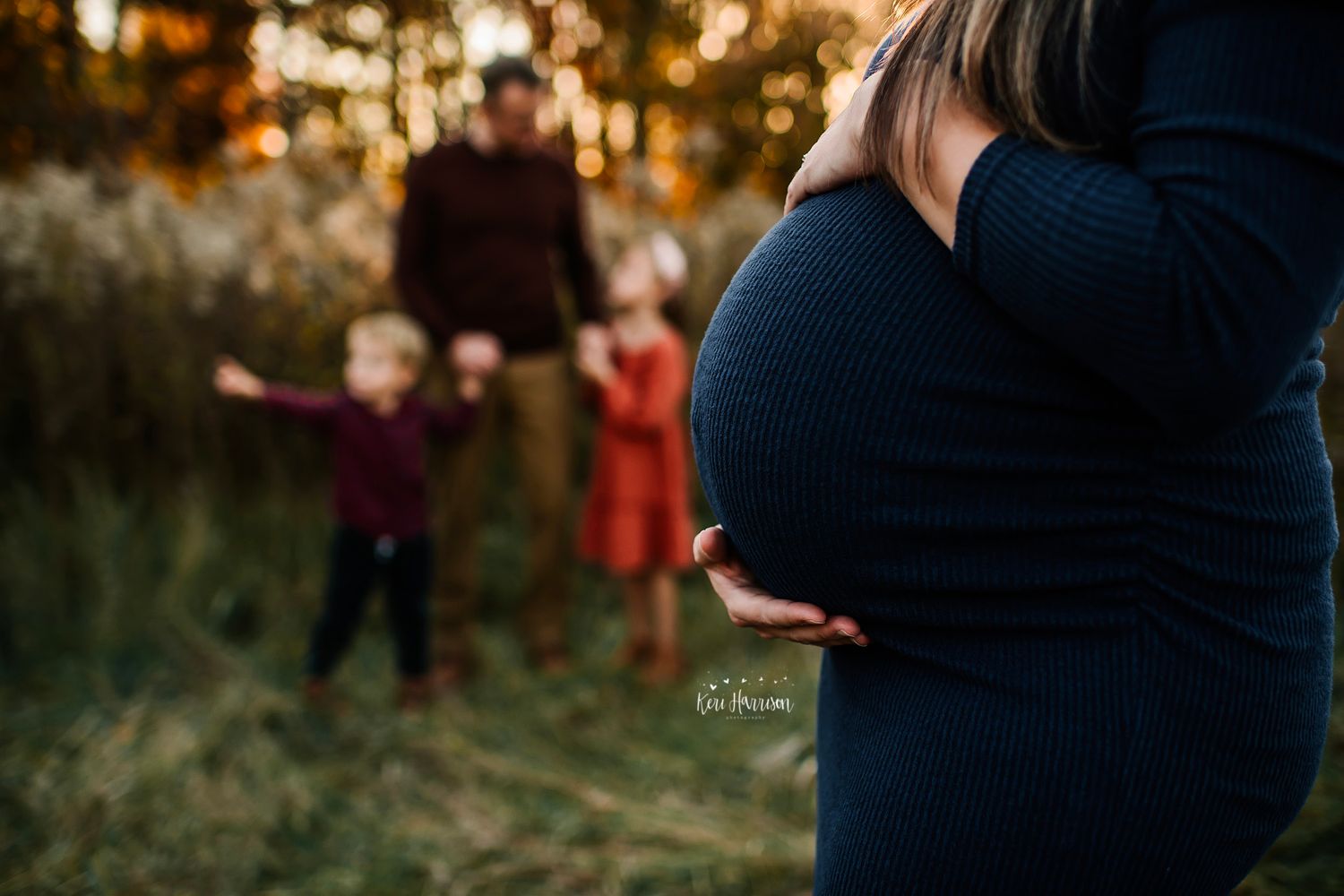 Metro Detroit Family Photographer
