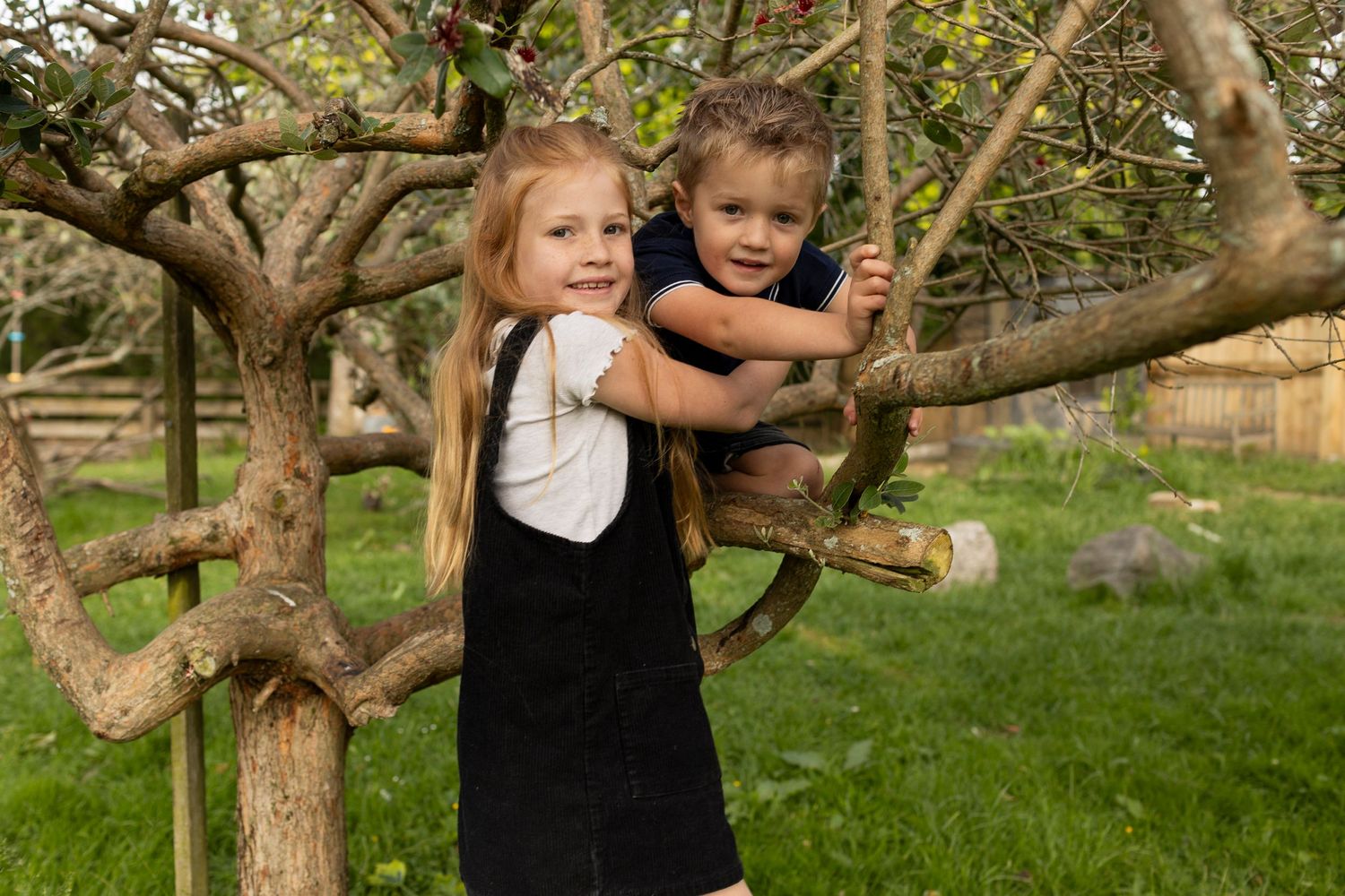 Two children climb and play together on a tree branch in a sunny garden.