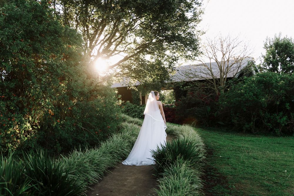 A scenic garden path winds through lush greenery with sunlight filtering through the trees at dusk.