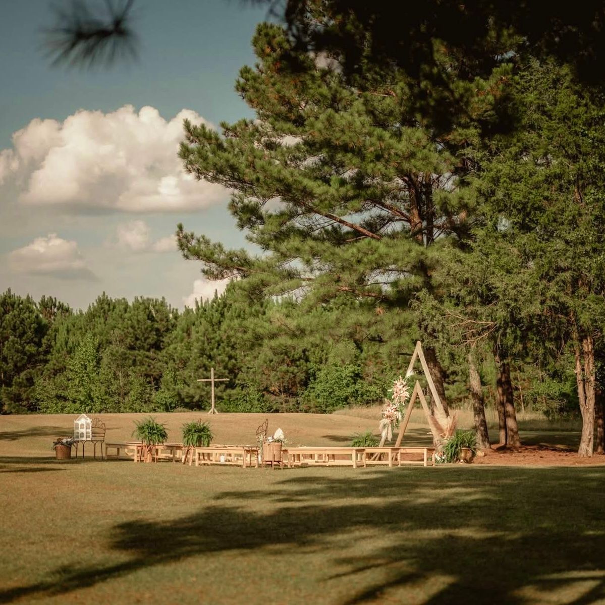 Wedding pictures at ceremony site under trees in field at Sanctuaire Atelier.
