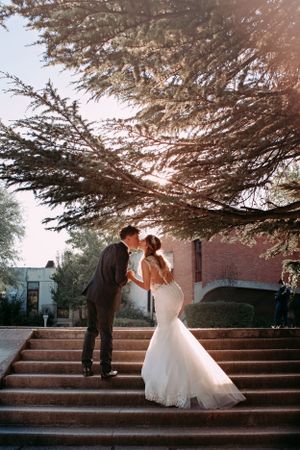 Romantic wedding portrait of couple kissing on steps under large tree at sunset.