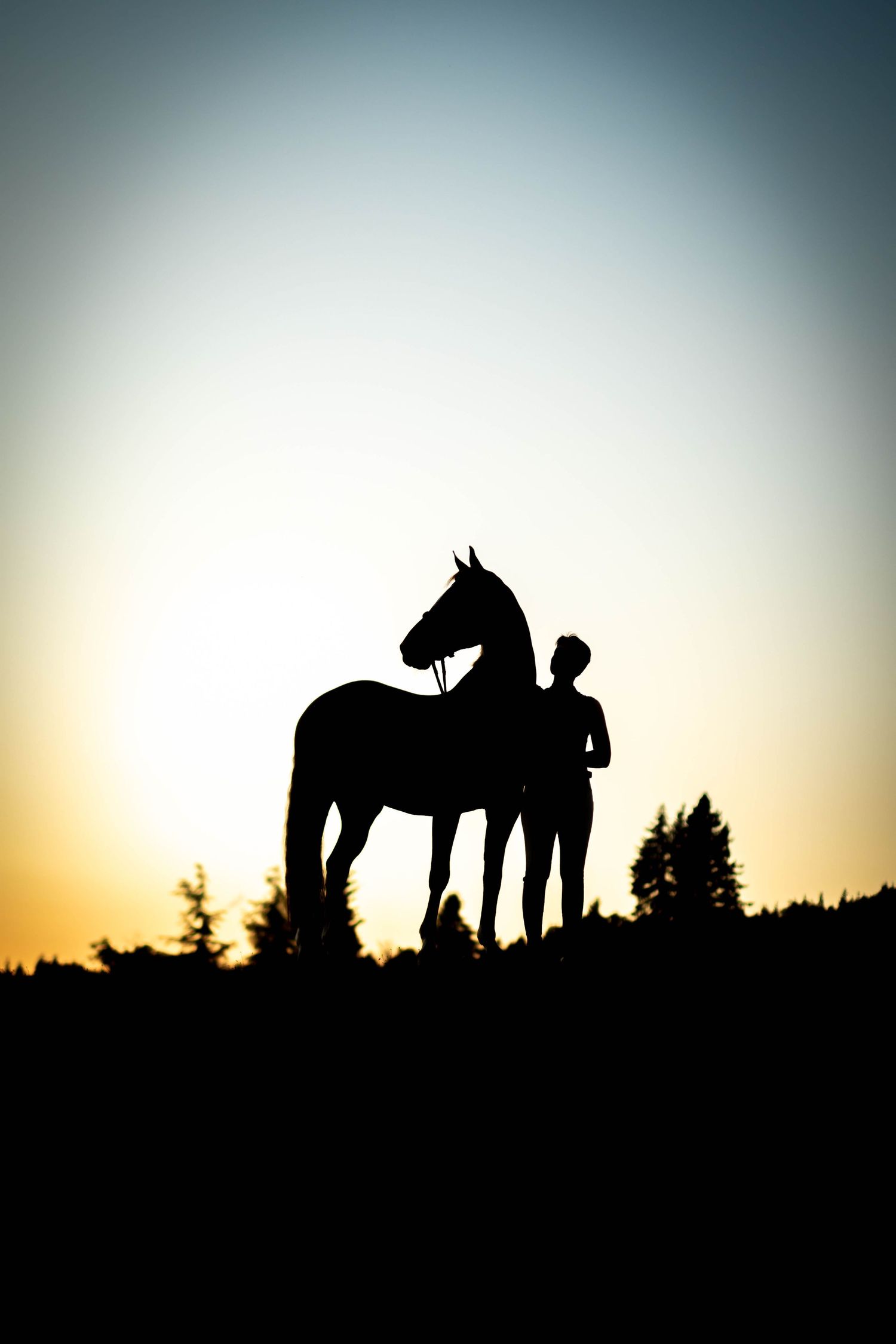 Silhouette of a horse and handler standing on a hill against a sunset sky.