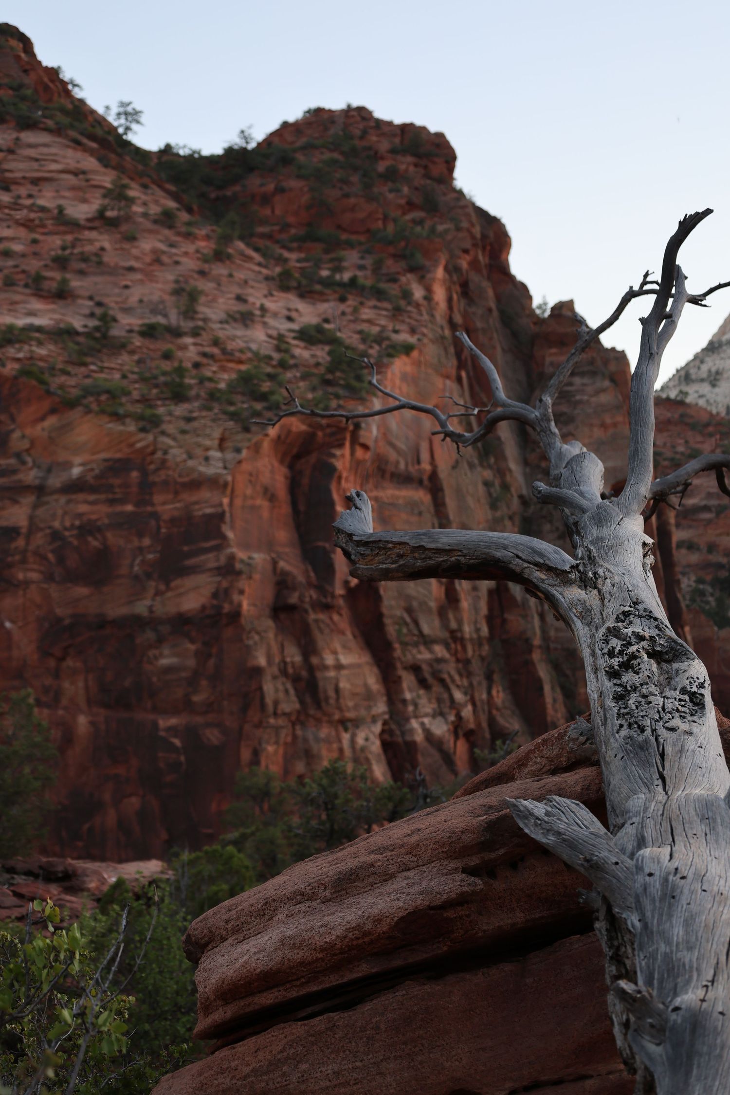 zions national park
