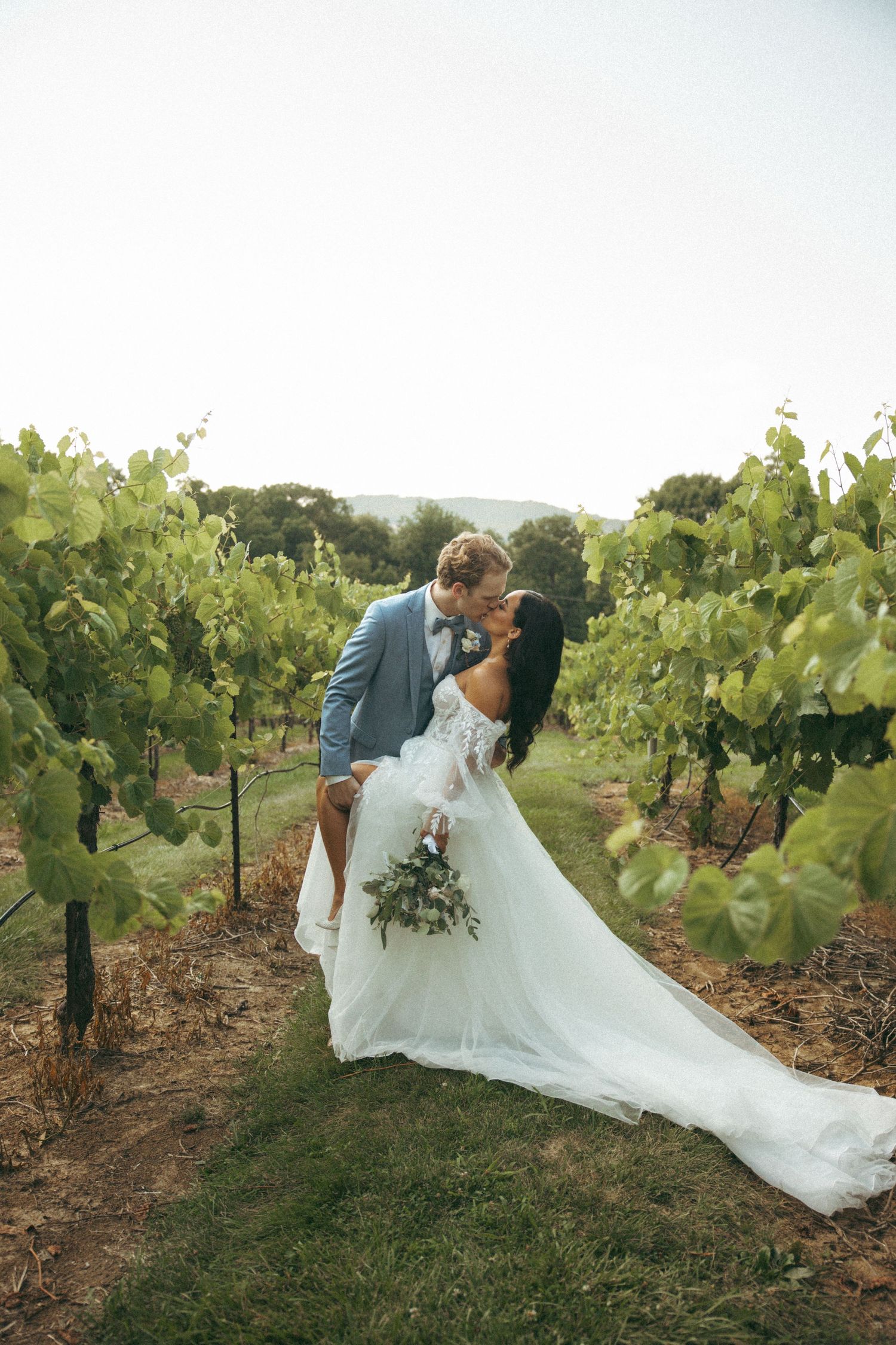 A romantic wedding couple shares a kiss among lush vineyard rows at sunset, with the bride wearing a flowing white gown.