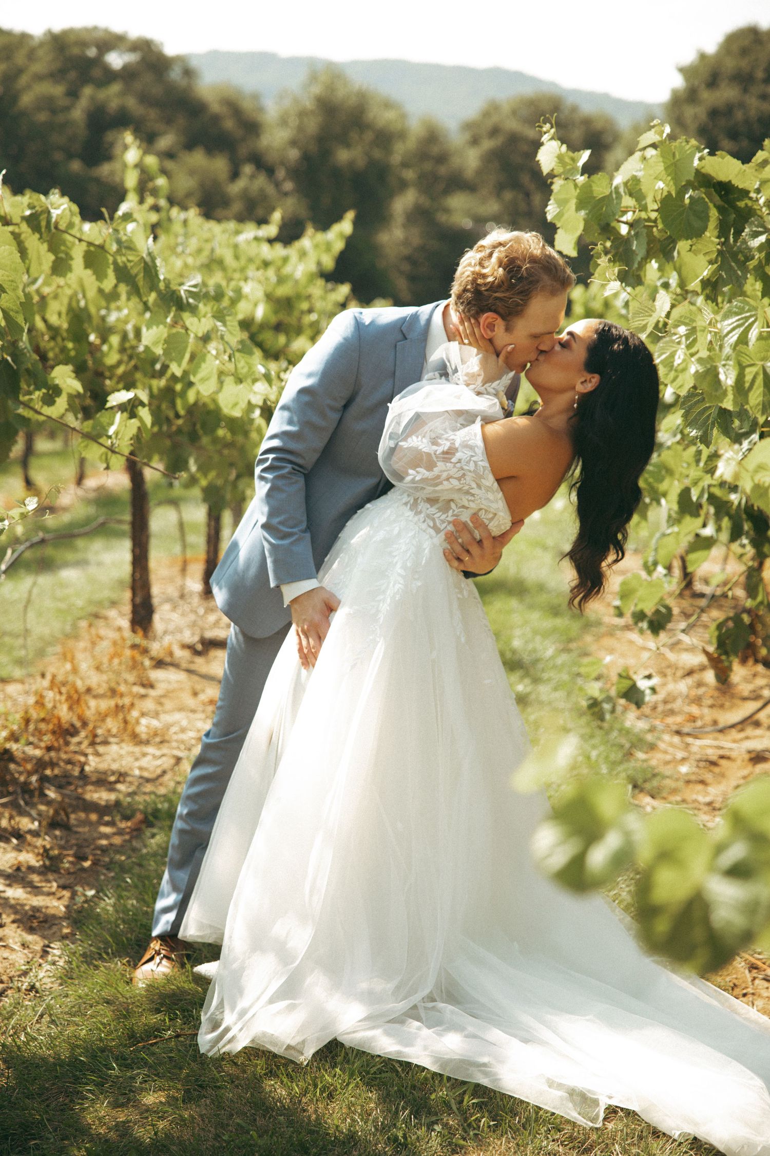 A romantic wedding portrait in a vineyard with the couple sharing a passionate dip kiss.
