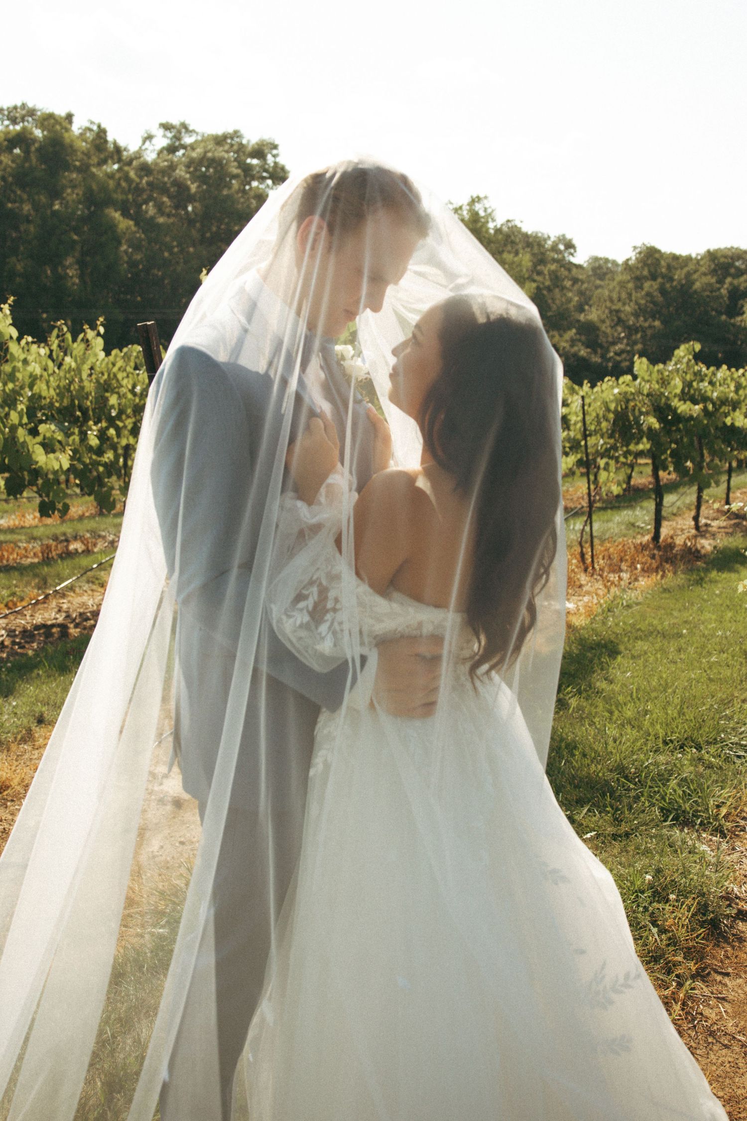 A dreamy vineyard wedding photo with the couple embracing under a flowing veil.