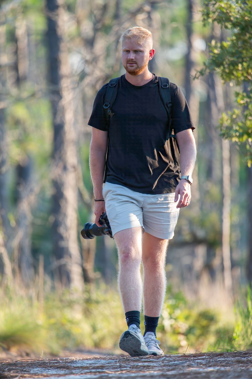 A hiker in black shirt and white shorts walking along a forest trail.