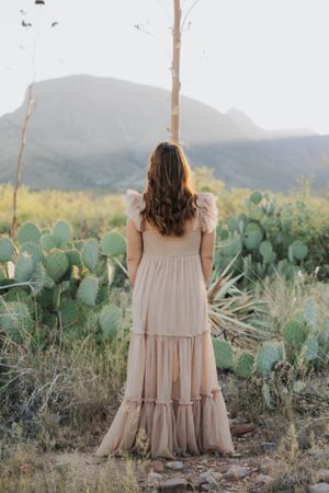 Back view of maxi dress silhouetted against desert mountain landscape.