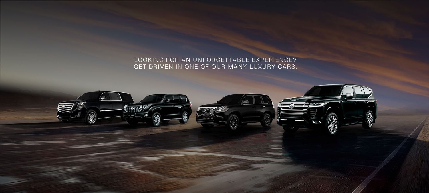 LIVERY LANE FLEET