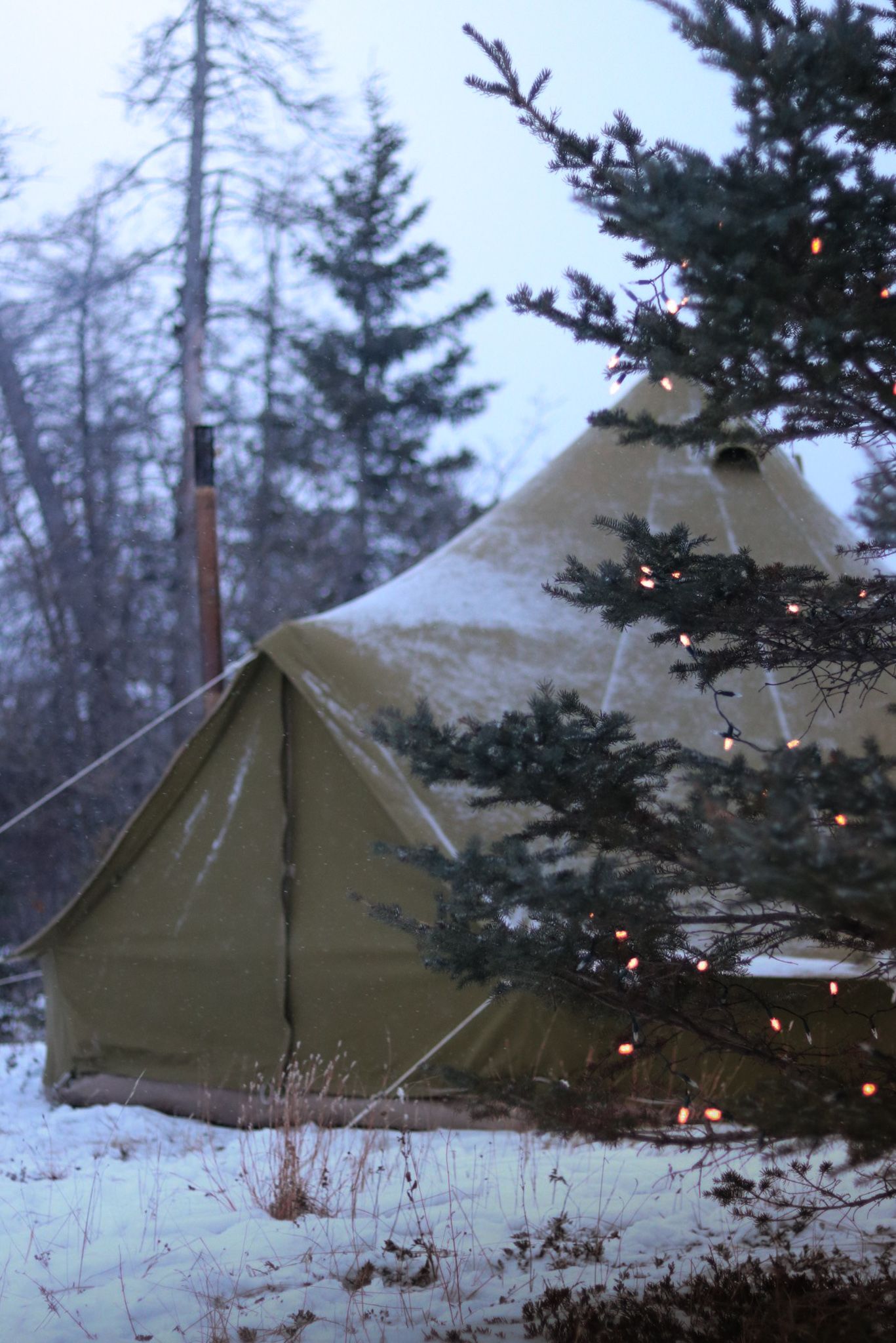 Snow-covered canvas tent illuminated by twinkling lights in a winter forest setting at twilight.