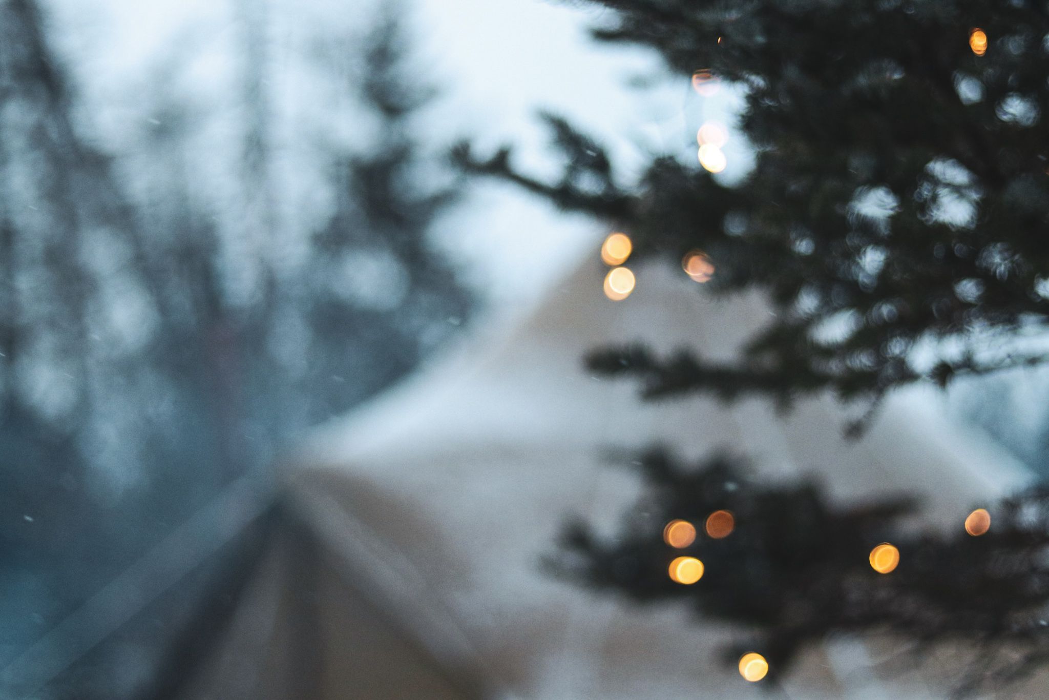 Bokeh lights twinkle through evergreen branches near a snow-dusted tent at dusk.