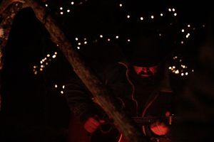Dark nighttime scene illuminated by scattered bokeh lights with silhouetted branches and red glowing elements.