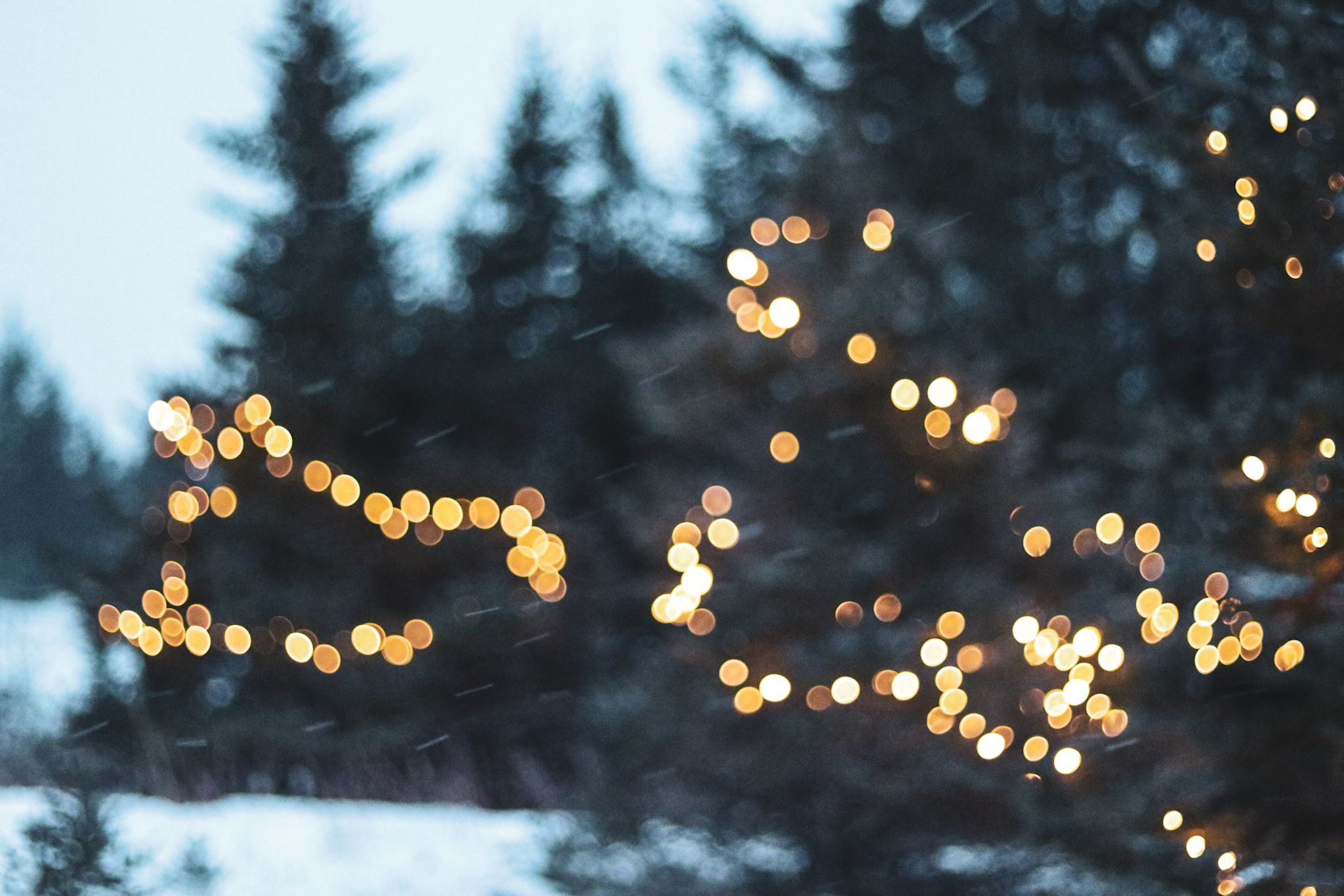 Bokeh lights create a magical effect against a snowy winter forest backdrop.