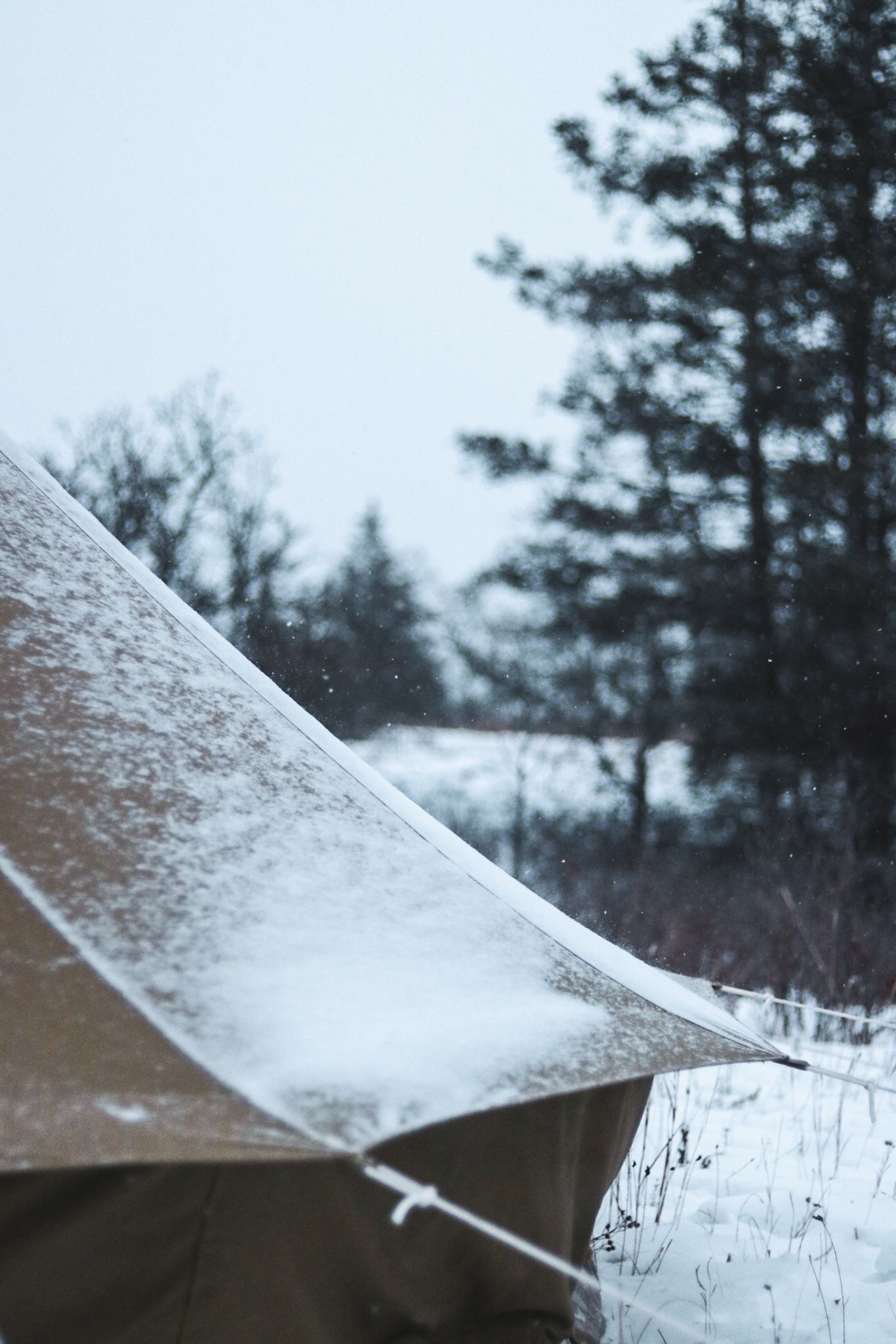 Snow covered canvas tent in a winter forest setting with evergreen trees in background.
