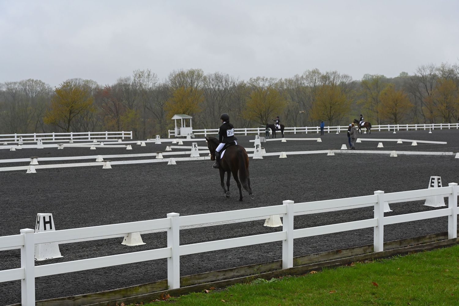 a bay horse and rider competing dressage