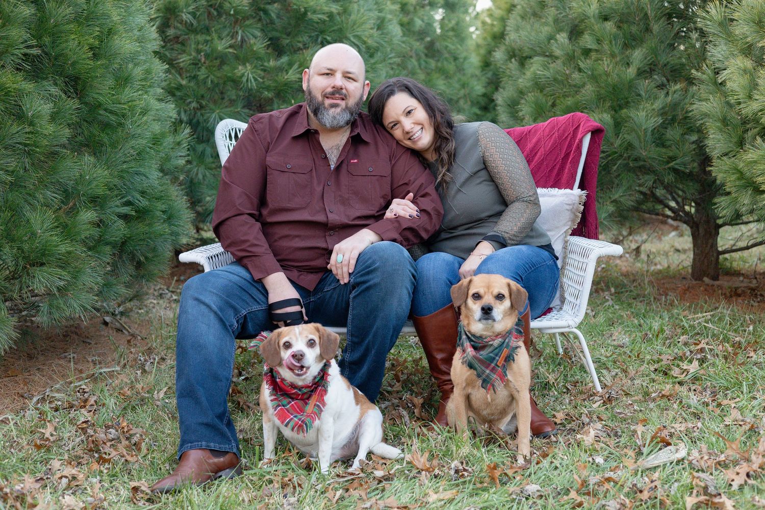 Springfield, IL Photographer captures a family with two dogs smiling during a family session in Central, IL.