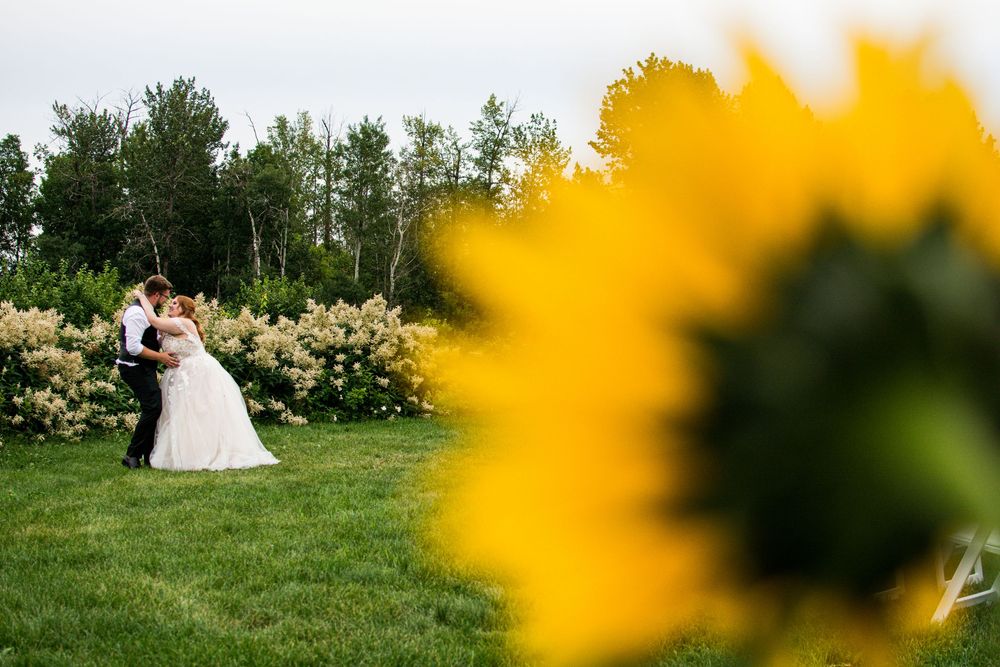A couple embraces on a grassy hill during their outdoor wedding ceremony with sunflowers in the foreground.