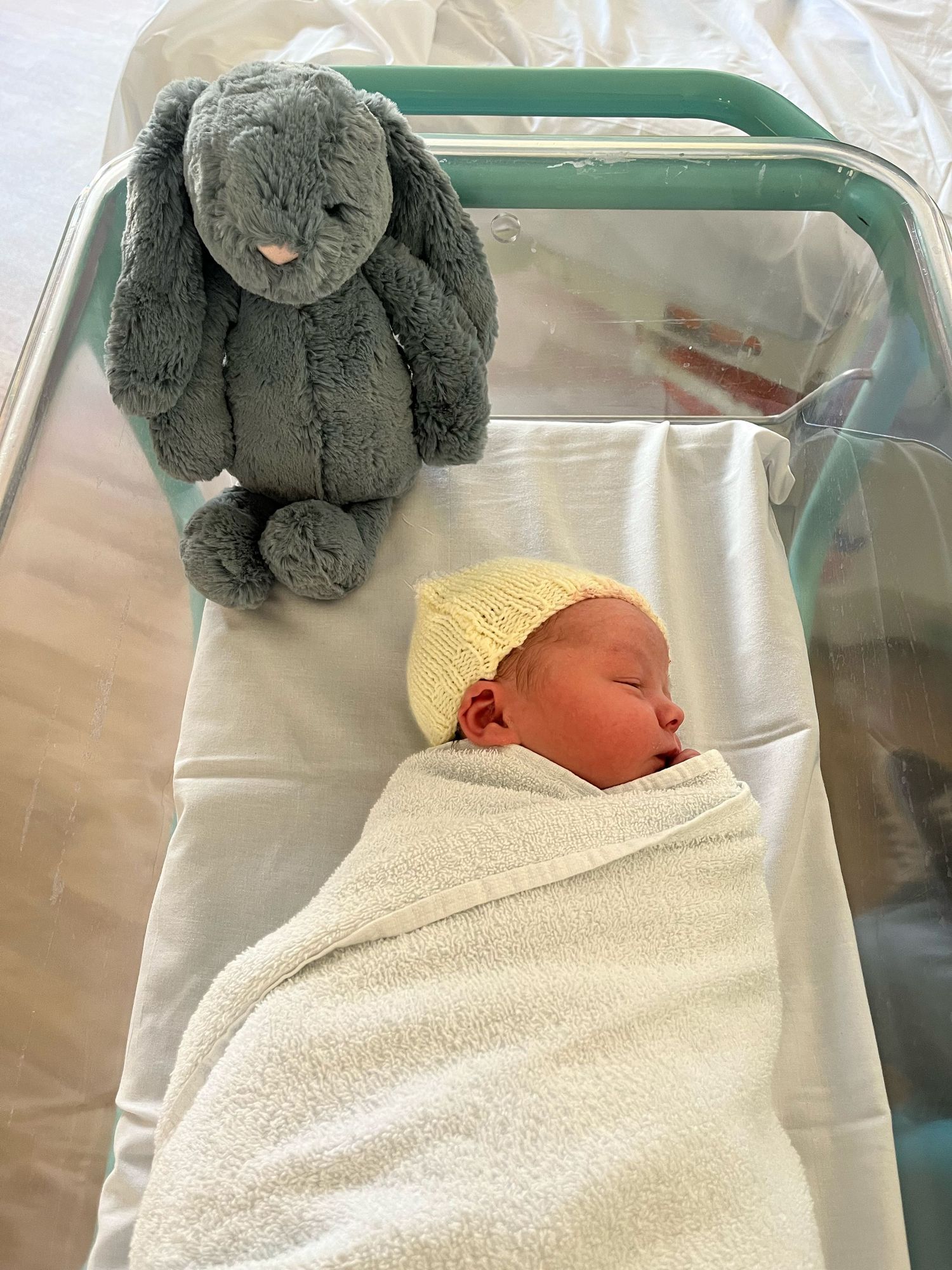 A gray plush bunny toy sits beside a newborn wrapped in a white blanket in a hospital bassinet.