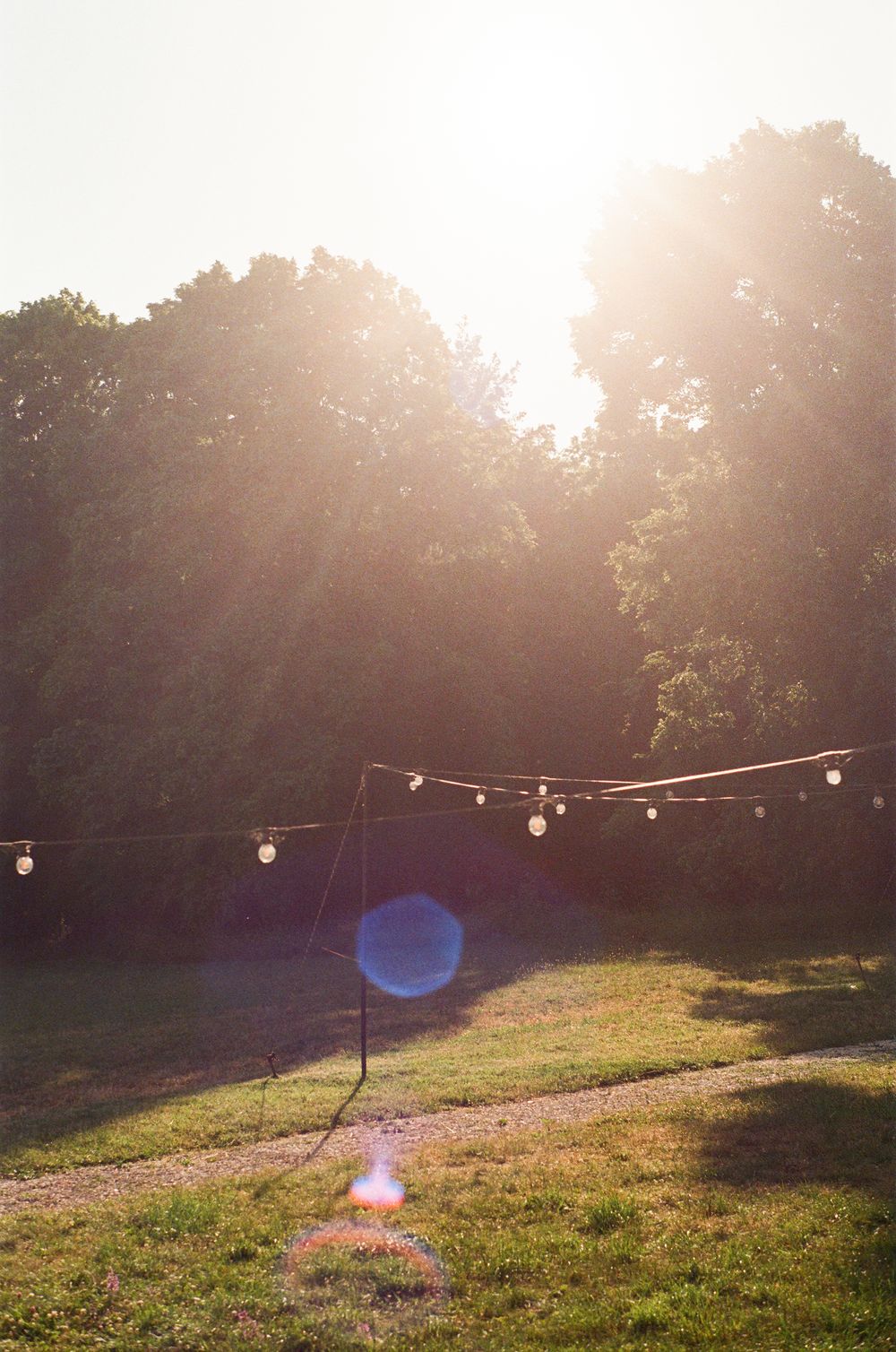 String lights hanging over a sunlit grassy lawn at dusk creating a romantic outdoor ambiance.